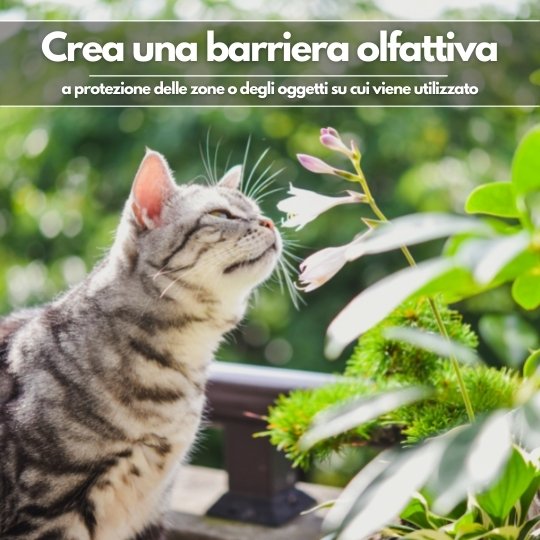 Disabituante repellente gatto barriera olfattiva