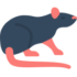 Ratto Ratto