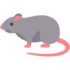 Topo Topo